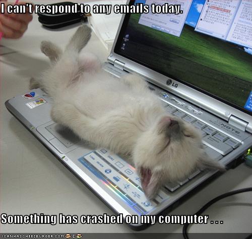 Yes, this is just an excuse for putting up a cute kitty picture